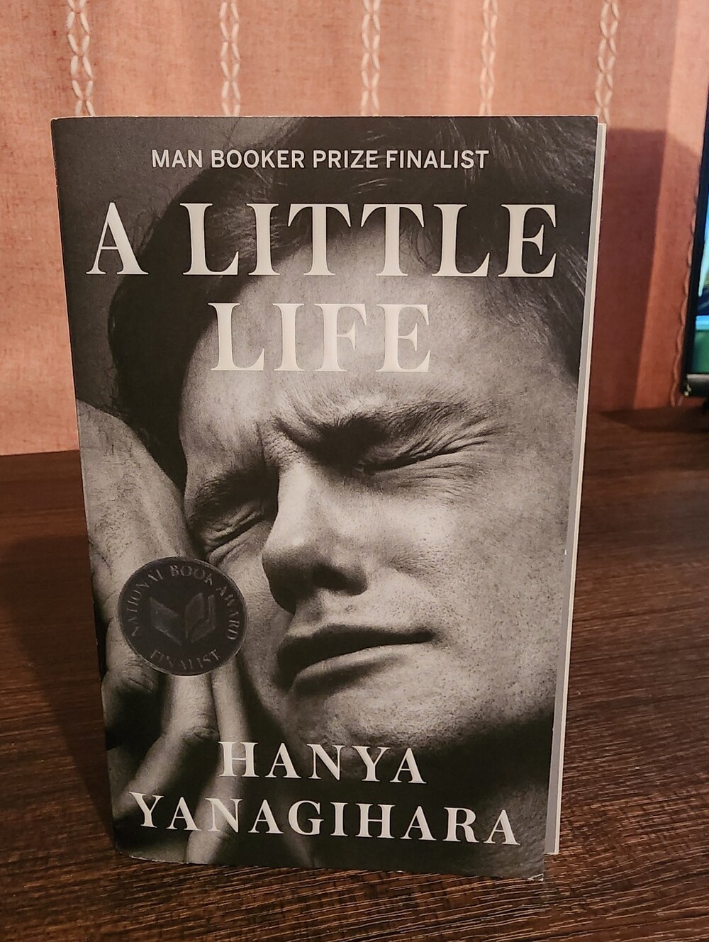 A Little Life By Hanya Yanagihara. New